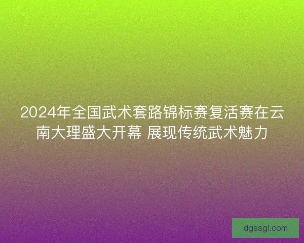 2024年全国武术套路锦标赛复活赛在云南大理盛大开幕 展现传统武术魅力