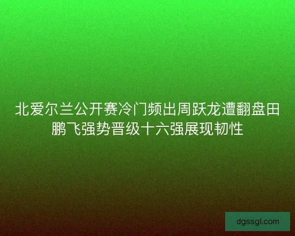 北爱尔兰公开赛冷门频出周跃龙遭翻盘田鹏飞强势晋级十六强展现韧性 北爱尔兰公开赛冷门频出周跃龙遭翻盘田鹏飞强势晋级十六强展现韧性